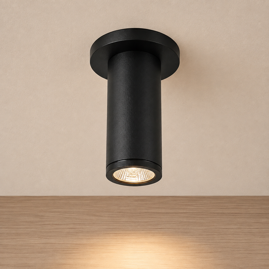 4-Inch Outdoor Black LED Ceiling Light with 8W Fixture & Clear Glass